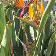 ヒメ日記 2025/12/23 14:23 投稿 森崎 沙奈 30代40代50代と遊ぶなら博多人妻専科24時