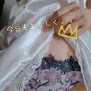 ヒメ日記 2026/02/12 11:21 投稿 森崎 沙奈 30代40代50代と遊ぶなら博多人妻専科24時