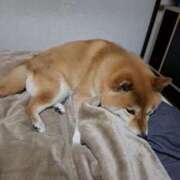 ヒメ日記 2026/04/06 09:07 投稿 森崎 沙奈 30代40代50代と遊ぶなら博多人妻専科24時