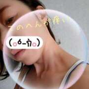 ヒメ日記 2026/04/13 11:55 投稿 森崎 沙奈 30代40代50代と遊ぶなら博多人妻専科24時