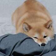 森崎 沙奈 本日休ませて頂きます 30代40代50代と遊ぶなら博多人妻専科24時