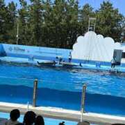 ヒメ日記 2025/03/13 20:33 投稿 らな アネックスジャパン