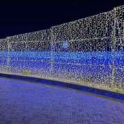 ヒメ日記 2025/03/15 14:20 投稿 らな アネックスジャパン