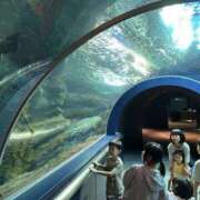 ヒメ日記 2025/03/16 22:40 投稿 らな アネックスジャパン