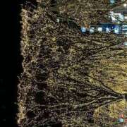 ヒメ日記 2025/03/20 19:19 投稿 らな アネックスジャパン