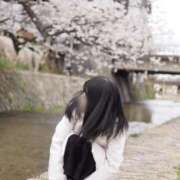 ヒメ日記 2025/04/12 00:26 投稿 みやび チューリップ福井本館