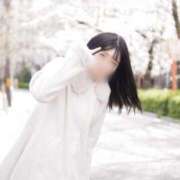 ヒメ日記 2025/04/19 00:11 投稿 みやび チューリップ福井本館