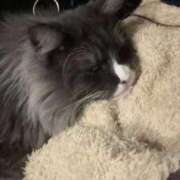 ヒメ日記 2026/03/07 08:50 投稿 るか オレンジハウス