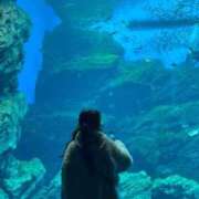 ヒメ日記 2026/02/20 20:20 投稿 れいか オレンジハウス