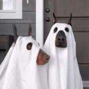 ヒメ日記 2025/04/05 21:46 投稿 そら☆21歳経験浅め 那須塩原美少女図鑑