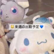 ヒメ日記 2025/04/29 13:44 投稿 あいな エデン