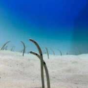 ヒメ日記 2025/07/03 15:16 投稿 あいな エデン