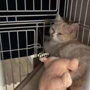 ヒメ日記 2025/12/11 15:21 投稿 あいな エデン