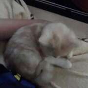 ヒメ日記 2025/12/12 09:21 投稿 あいな エデン