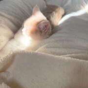 ヒメ日記 2026/01/03 13:46 投稿 あいな エデン