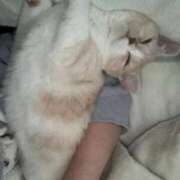 ヒメ日記 2026/01/19 14:51 投稿 あいな エデン