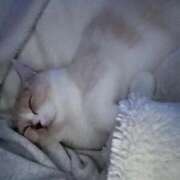 ヒメ日記 2026/01/25 08:01 投稿 あいな エデン