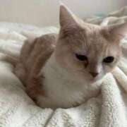 ヒメ日記 2026/01/28 14:51 投稿 あいな エデン