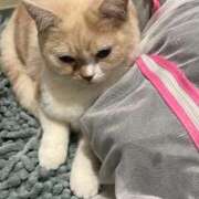 ヒメ日記 2026/01/29 18:51 投稿 あいな エデン