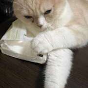 ヒメ日記 2026/02/03 18:56 投稿 あいな エデン