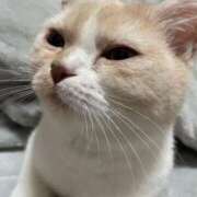 ヒメ日記 2026/02/10 18:51 投稿 あいな エデン