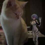 ヒメ日記 2026/02/28 13:11 投稿 あいな エデン