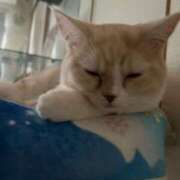 ヒメ日記 2026/03/10 00:51 投稿 あいな エデン