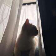 ヒメ日記 2026/03/20 18:41 投稿 あいな エデン