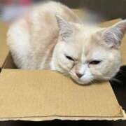 ヒメ日記 2026/03/25 14:41 投稿 あいな エデン