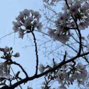 ヒメ日記 2026/03/31 16:12 投稿 あいな エデン