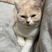 ヒメ日記 2026/04/01 17:51 投稿 あいな エデン