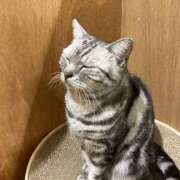 ヒメ日記 2024/12/20 10:43 投稿 あいか ラブコレ