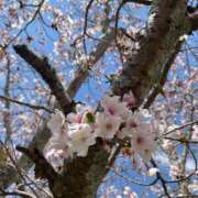 ヒメ日記 2026/03/03 10:29 投稿 あいか ラブコレ