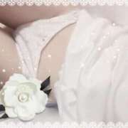 ヒメ日記 2025/01/14 10:53 投稿 美神 咲 人妻セレブ宮殿