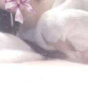 ヒメ日記 2025/03/21 05:18 投稿 美神 咲 人妻セレブ宮殿