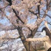 ヒメ日記 2025/04/08 15:04 投稿 美神 咲 人妻セレブ宮殿