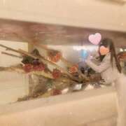 ヒメ日記 2025/05/11 12:57 投稿 美神 咲 人妻セレブ宮殿