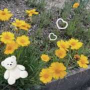 ヒメ日記 2025/05/20 12:45 投稿 美神 咲 人妻セレブ宮殿