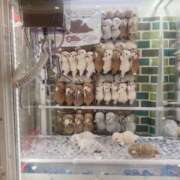 ヒメ日記 2025/06/06 16:18 投稿 美神 咲 人妻セレブ宮殿