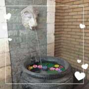 ヒメ日記 2025/06/25 18:47 投稿 美神 咲 人妻セレブ宮殿