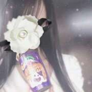 ヒメ日記 2025/09/04 17:45 投稿 美神 咲 人妻セレブ宮殿