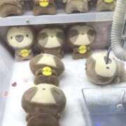 ヒメ日記 2025/09/14 04:13 投稿 美神 咲 人妻セレブ宮殿