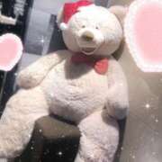 ヒメ日記 2025/11/15 03:30 投稿 美神 咲 人妻セレブ宮殿