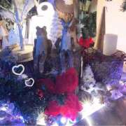 ヒメ日記 2025/12/23 05:38 投稿 美神 咲 人妻セレブ宮殿