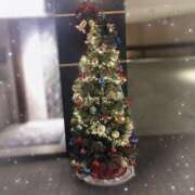 ヒメ日記 2025/12/24 04:21 投稿 美神 咲 人妻セレブ宮殿