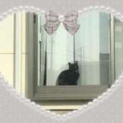 ヒメ日記 2026/01/21 05:40 投稿 美神 咲 人妻セレブ宮殿