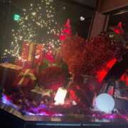 ヒメ日記 2026/01/23 05:02 投稿 美神 咲 人妻セレブ宮殿