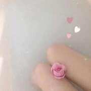 ヒメ日記 2026/03/13 03:30 投稿 美神 咲 人妻セレブ宮殿