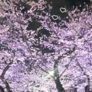 ヒメ日記 2026/03/28 03:26 投稿 美神 咲 人妻セレブ宮殿