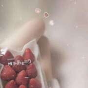 ヒメ日記 2026/04/01 05:00 投稿 美神 咲 人妻セレブ宮殿